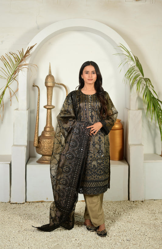 Intricately Embroidered Khaddi Net 3 Piece Ready to Wear D-13-MTL